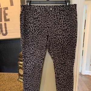 Gray/Black Simply Vera Jeggings XL